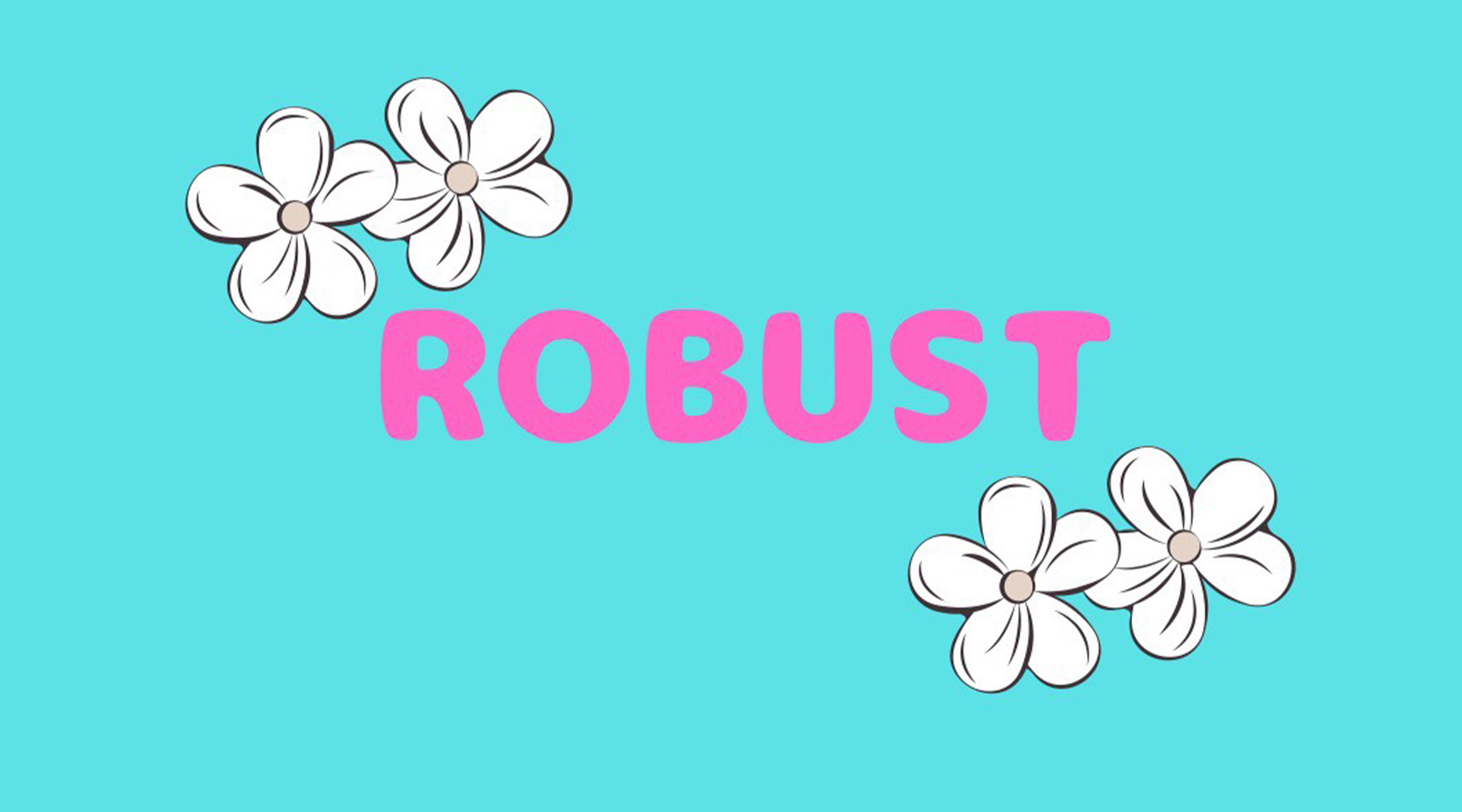 ROBUSTのサブ写真２